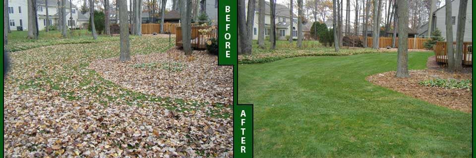 A before and after picture of a lawn with leaves on it