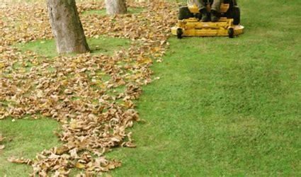 A person is riding a lawn mower on a lush green lawn.