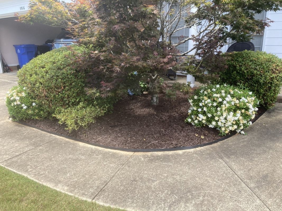 A concrete walkway surrounded by bushes and flowers in front of a house.