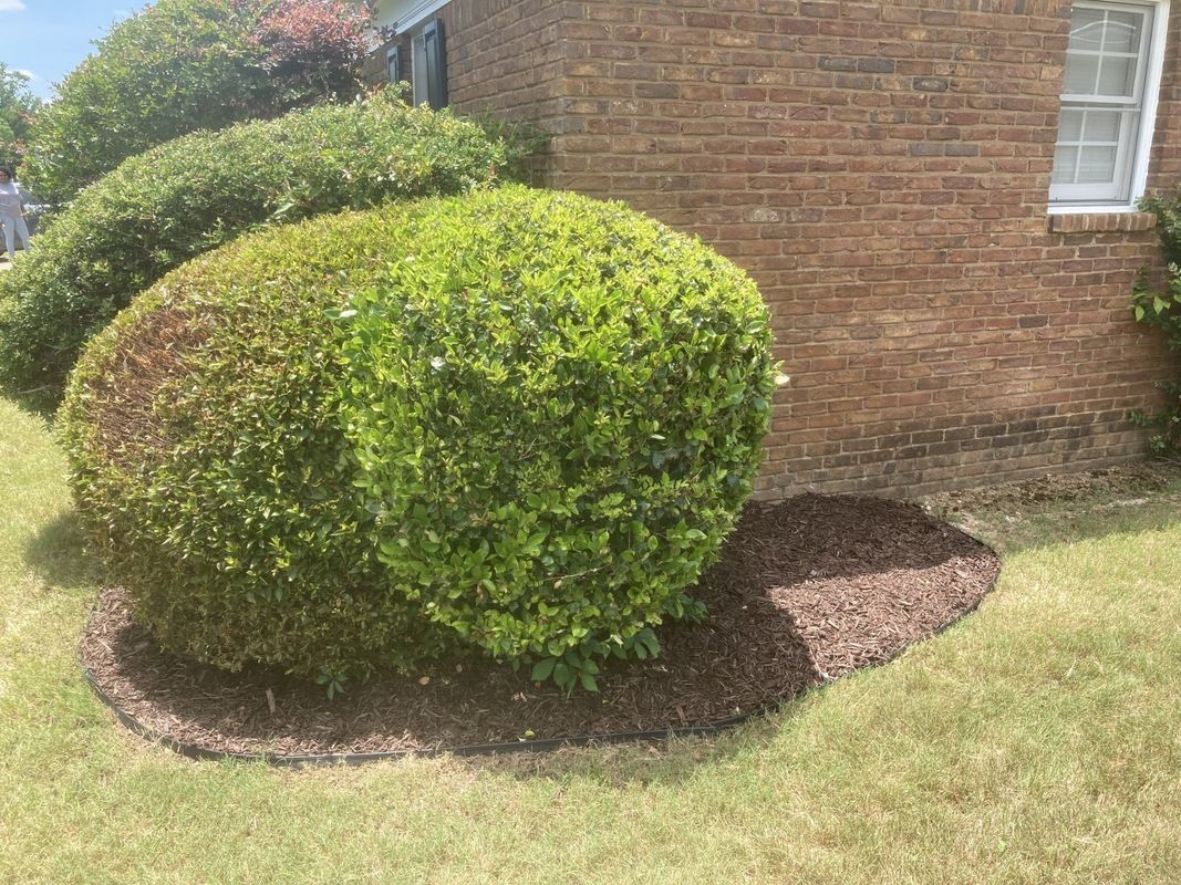 A brick house with a bush in front of it.