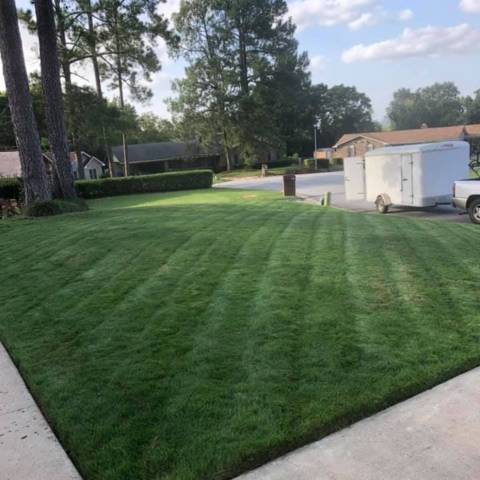 Yellow Walker lawn mower with a gray collection box in front of a white trailer.