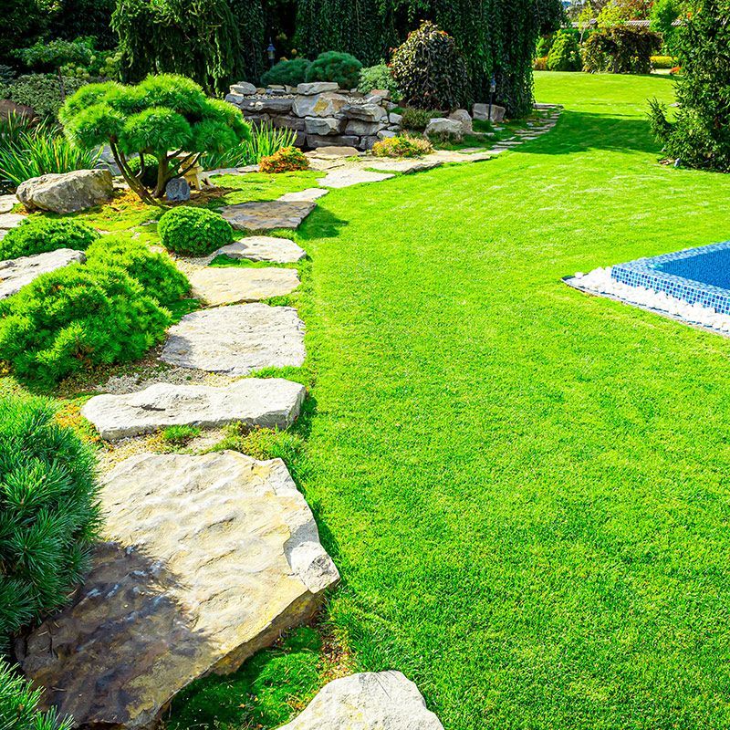 Beautiful Lawn