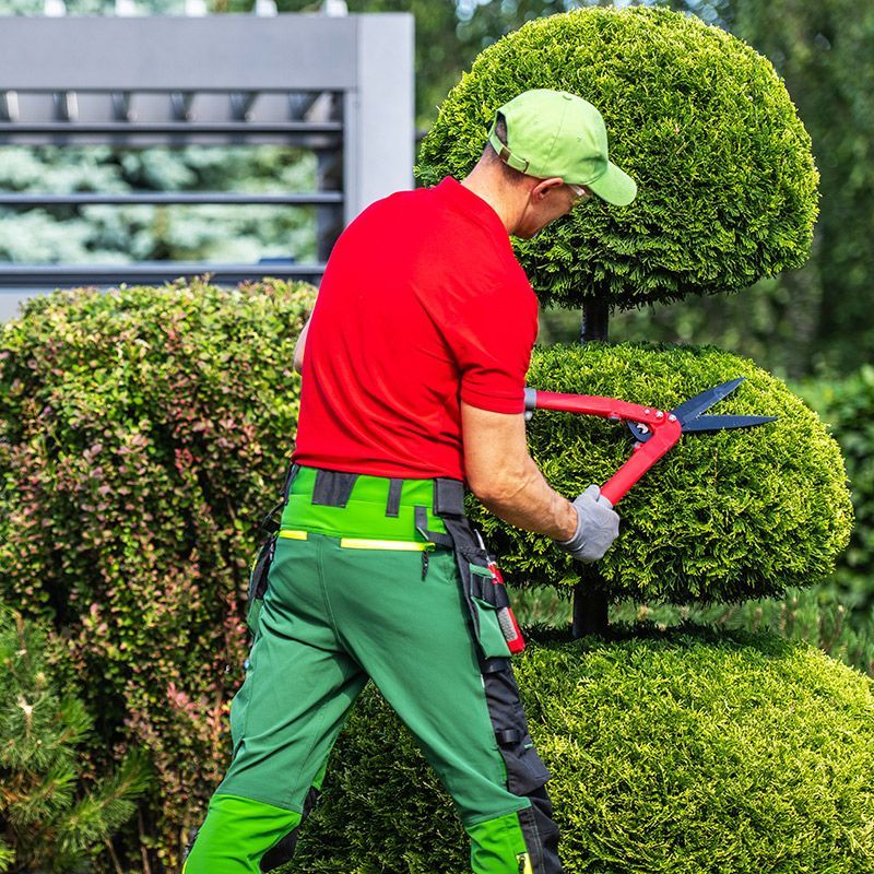 Trimming The Bush