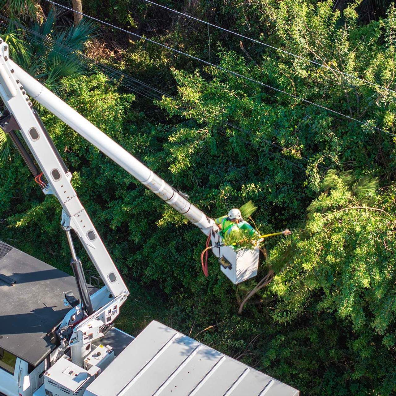 Pressure Washing The Deck Worker in a lift bucket trimming tree branches near power lines.