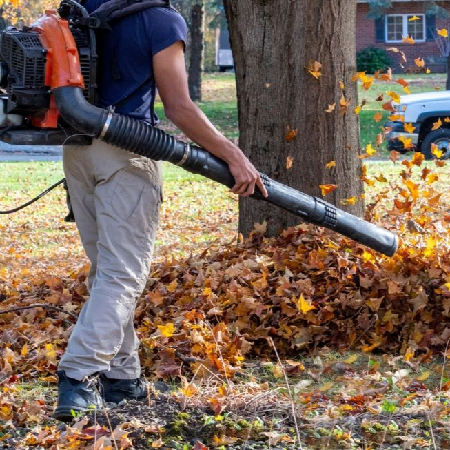Aerial View Of Person Using Mower