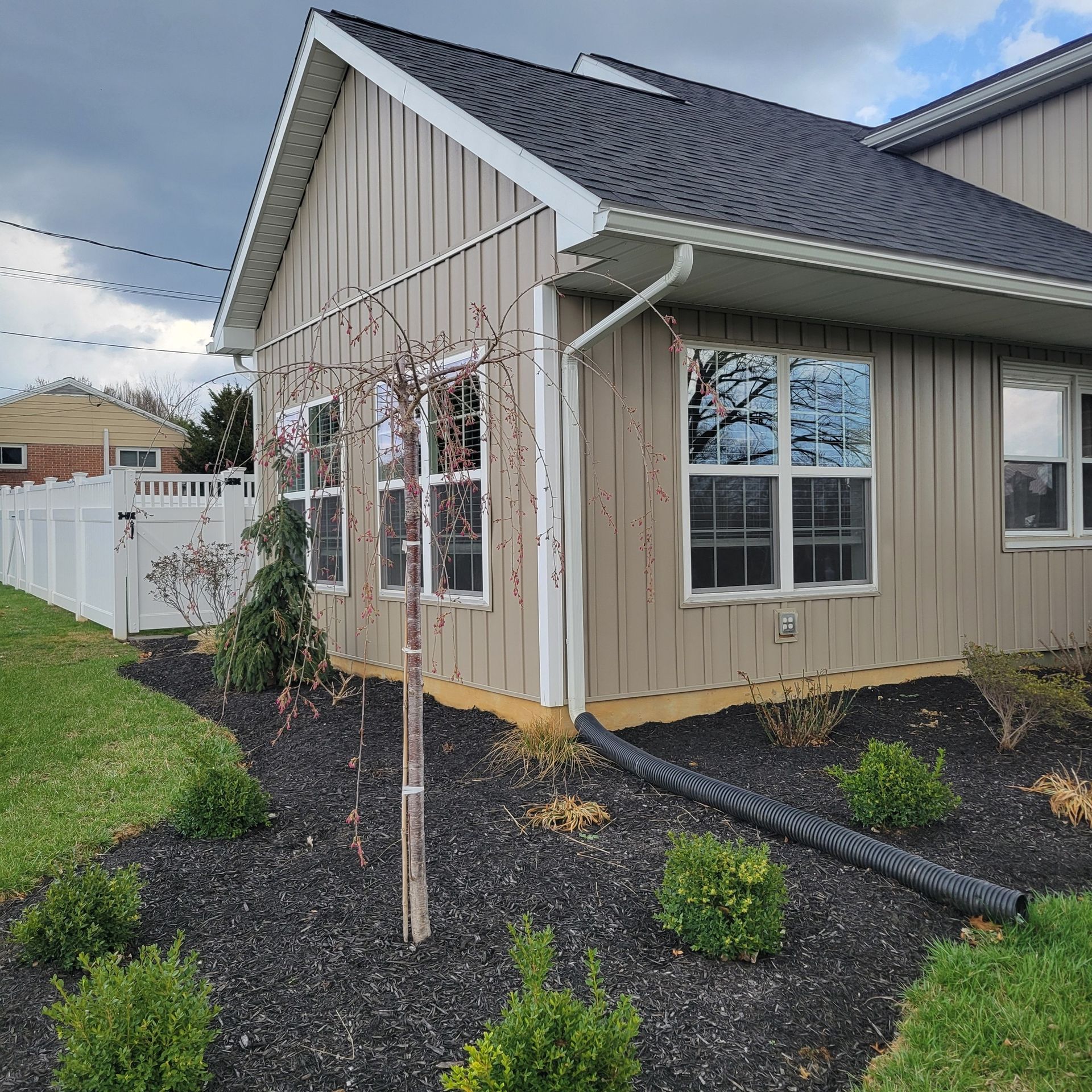 Tan house with white trim and windows, black roof. Black mulch in yard with bushes and tree.