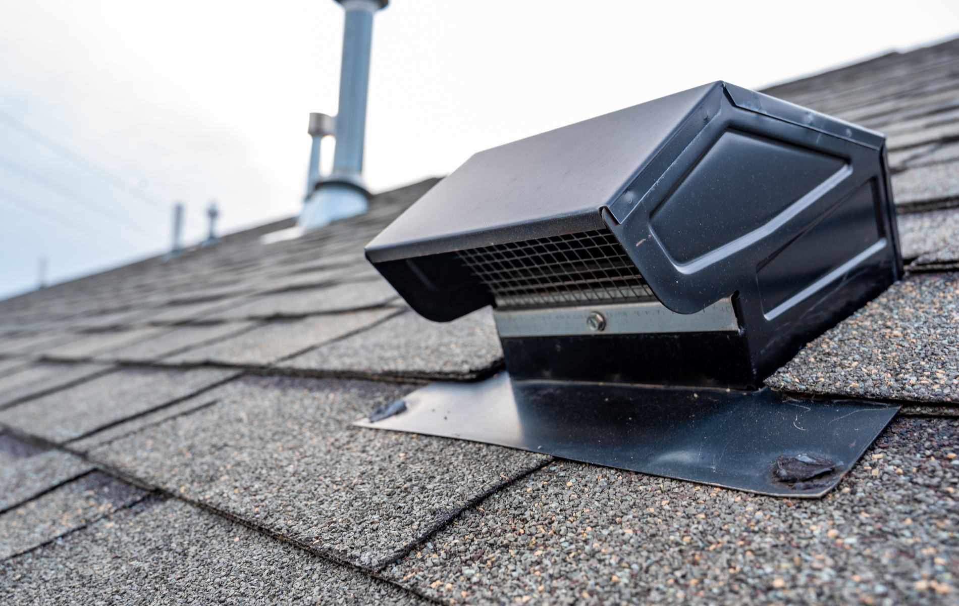 Black roof vent on a gray shingle roof.