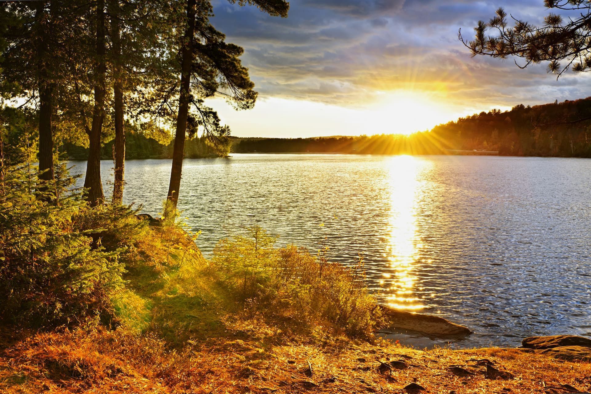 The sun is setting over lake ontario surrounded by trees