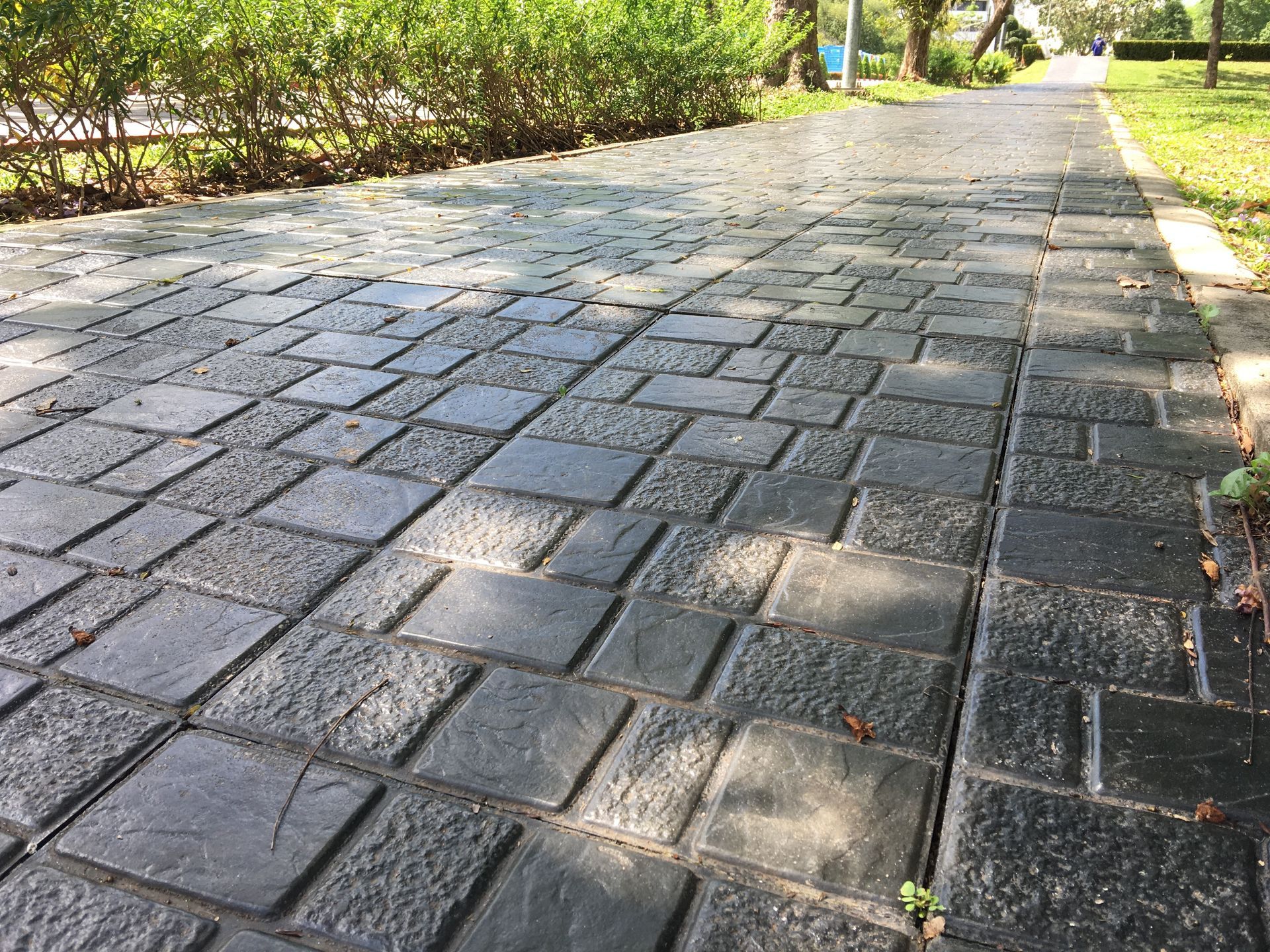 A brick walkway leading to a park with trees on both sides.