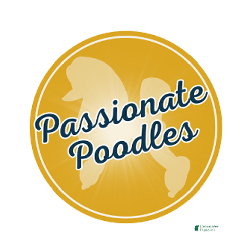 Passionate Poodles