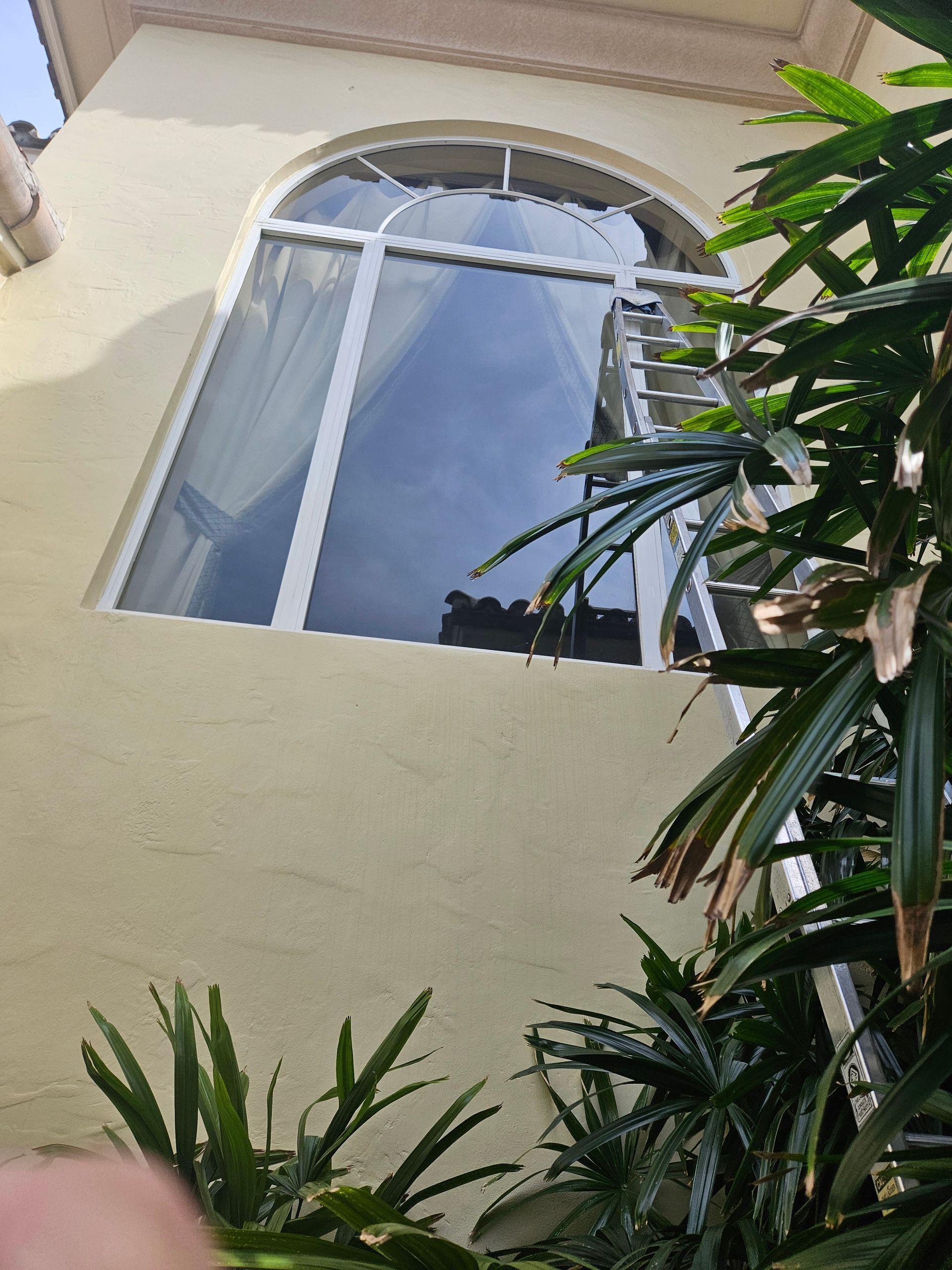 window+washing+services+in+coral+springs