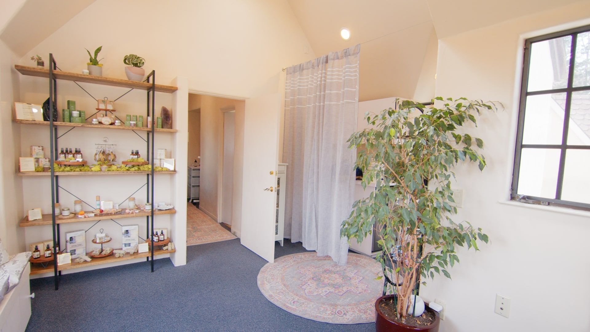 Bright living room with shelving, sheer curtain partition, potted tree, and blue carpet