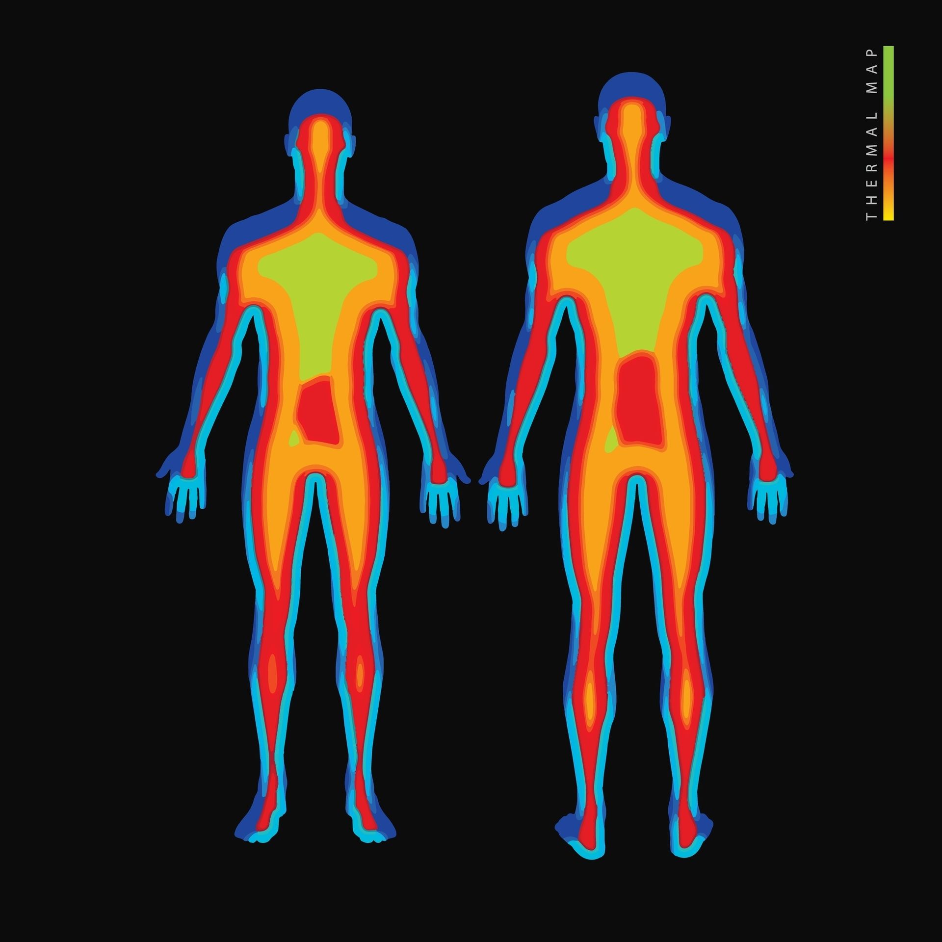 Thermal map of two standing human figures, showing heat distribution in color gradients.