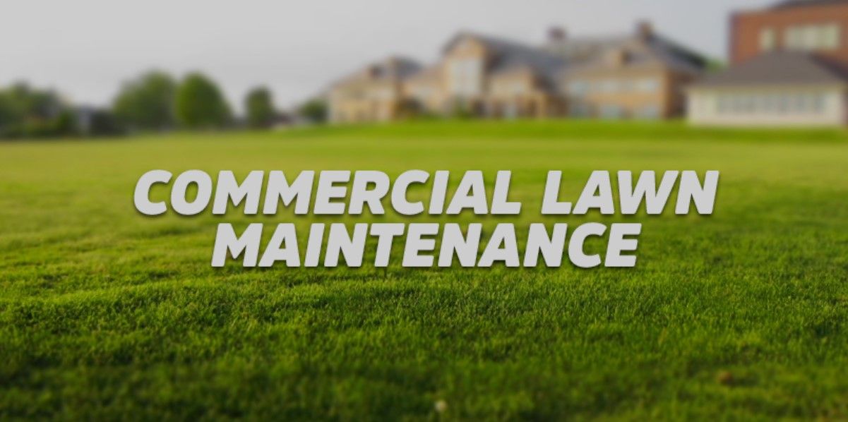 Commercial Cleaning Hot Springs, AR CleanPro USA