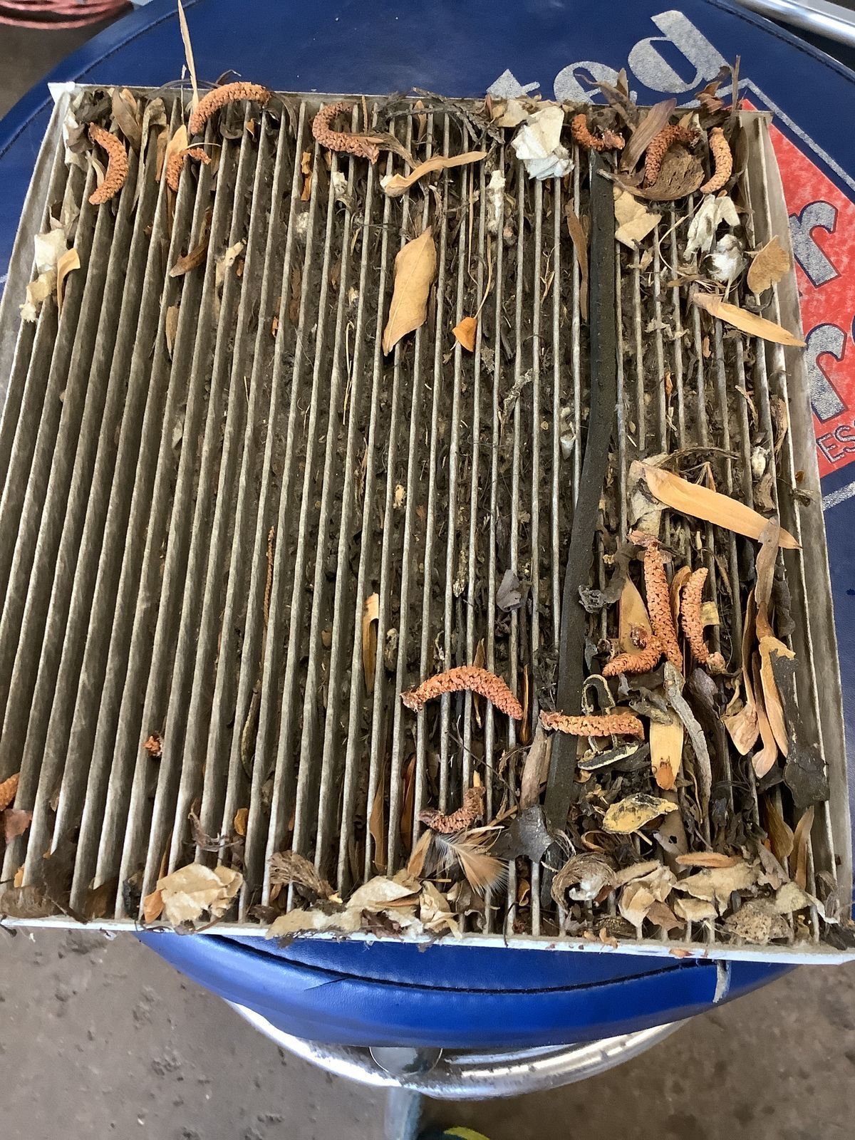 Filthy cabin air filter auto tech martinsville va