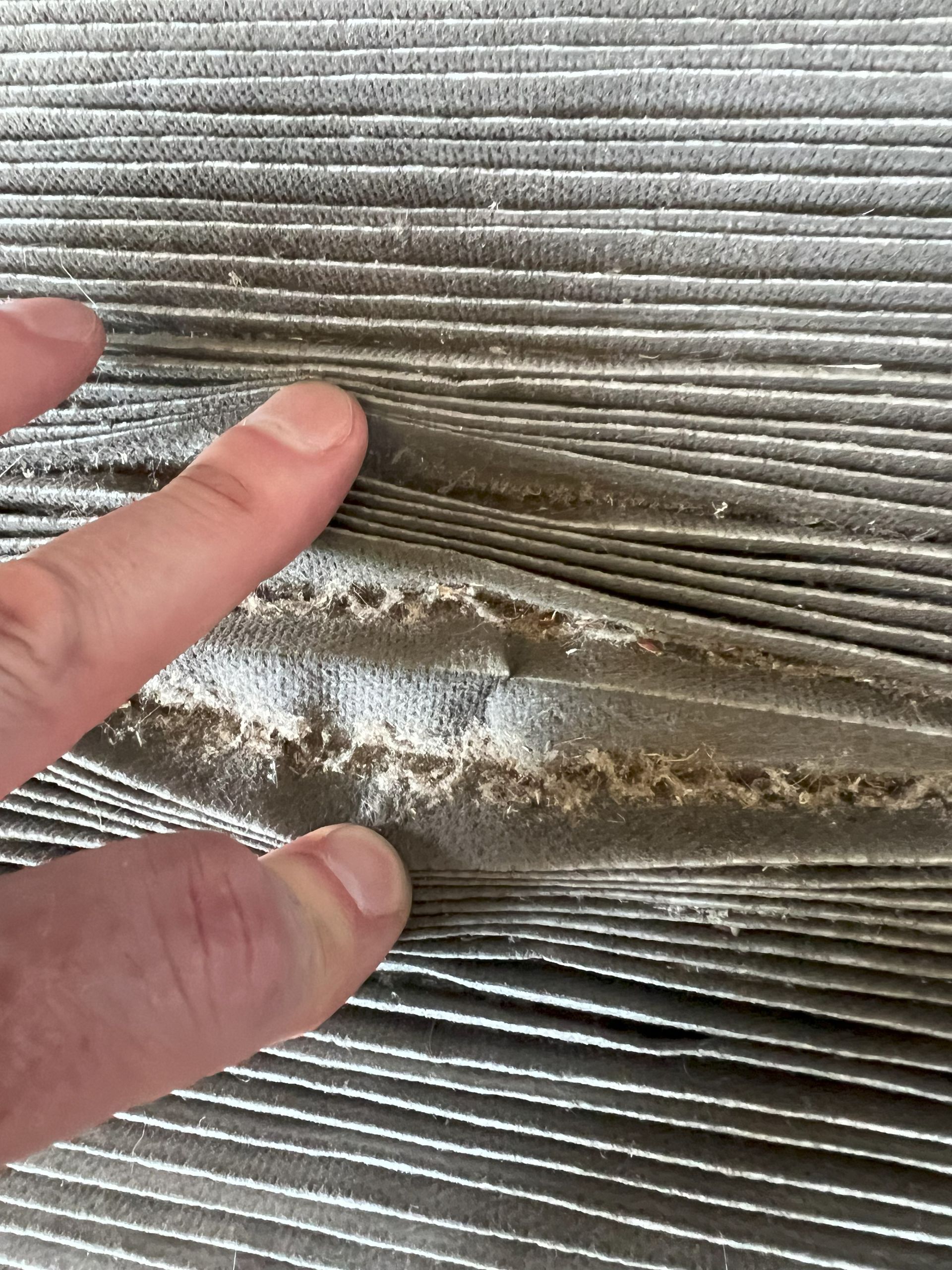 dirty cabin filter auto tech martinsville va