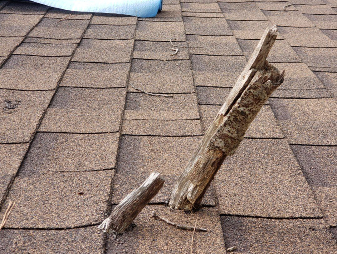 Tree Branch going through damaged roof in Arkansas