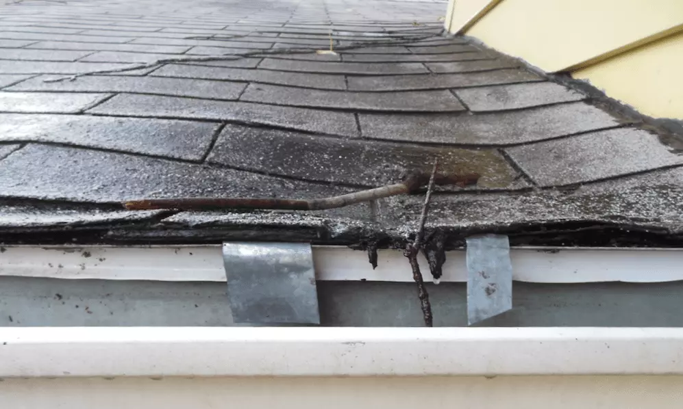 Picture of leaky roof