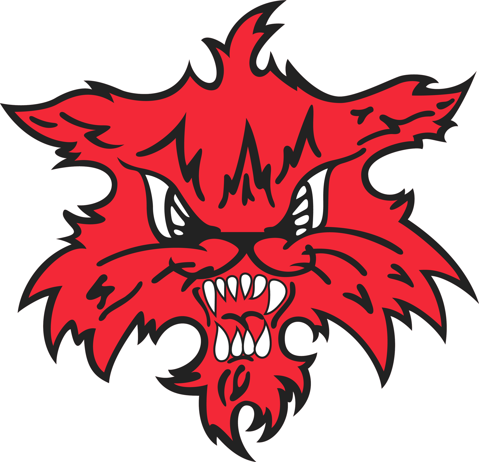 Marshalltown Bobcats