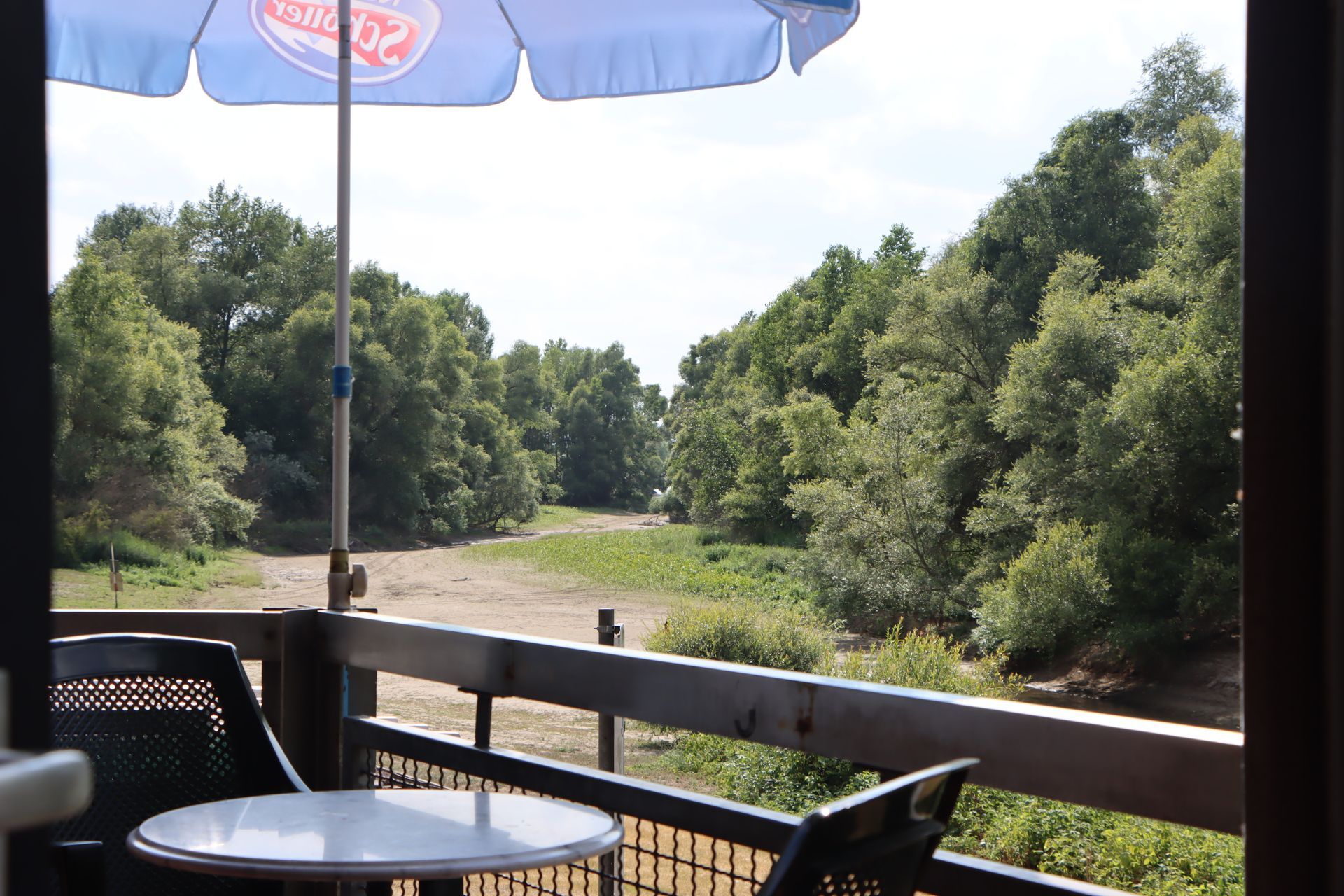 Ein blauer Regenschirm mit dem Wort Budweiser darauf