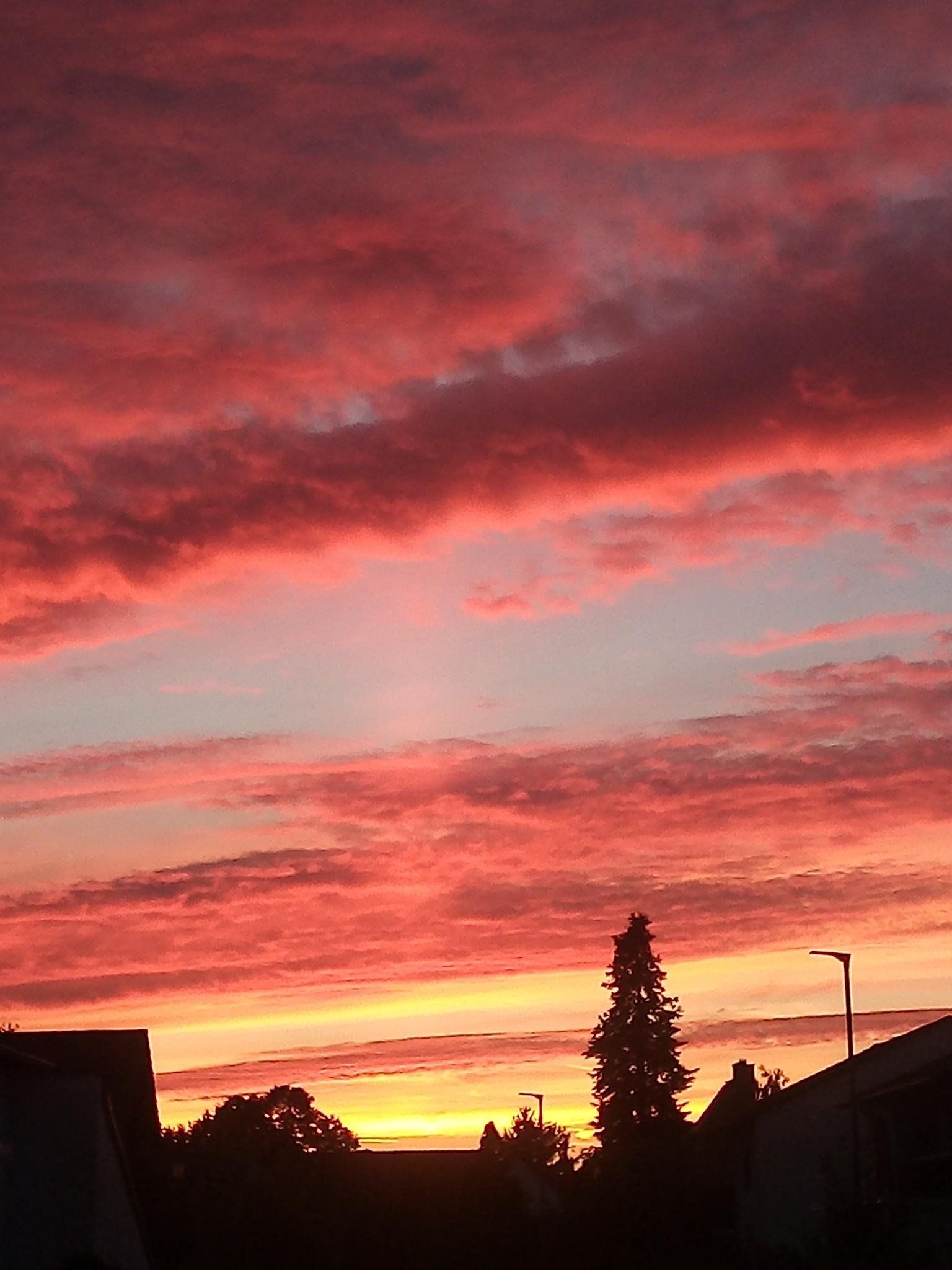 Ein Sonnenuntergang mit einem Baum im Vordergrund