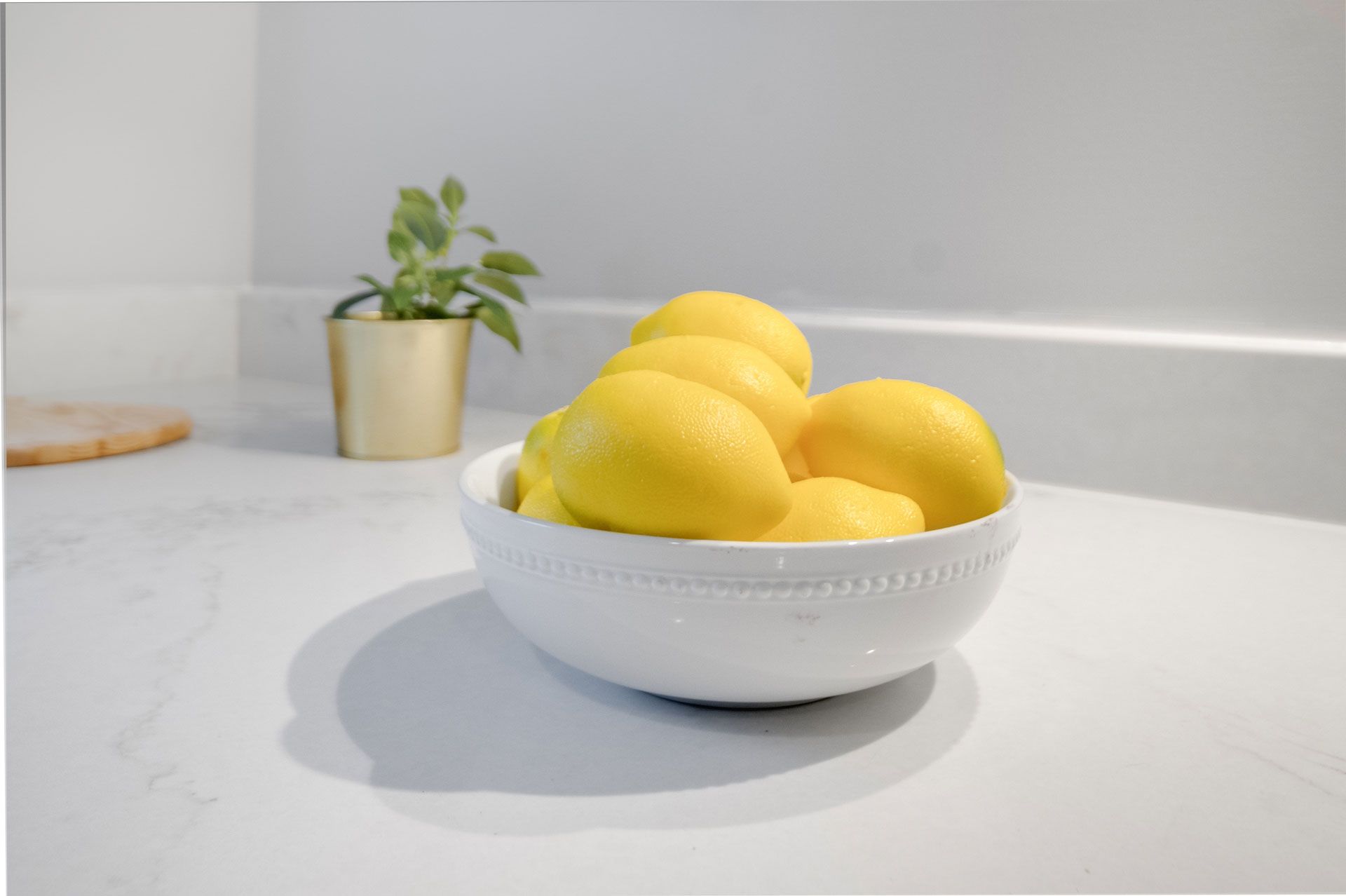 404 University Avenue Unit 5