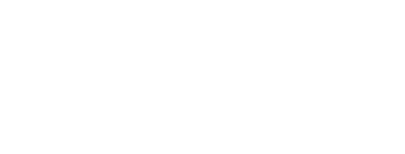 Rent Biz USA Logo in White - Footer
