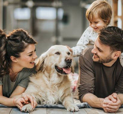 Adoption Advice