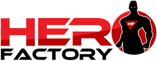 martial arts hero factory logo
