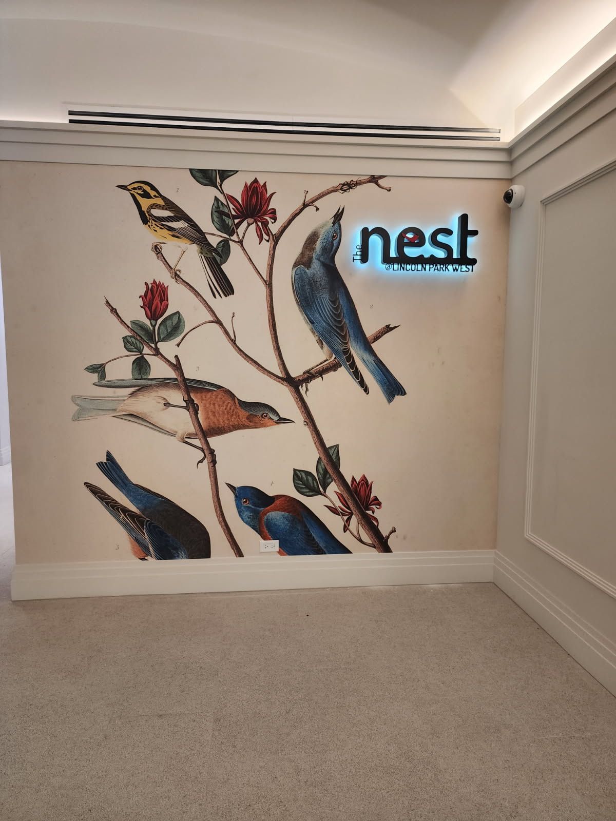 Wall mural of birds on branches; 