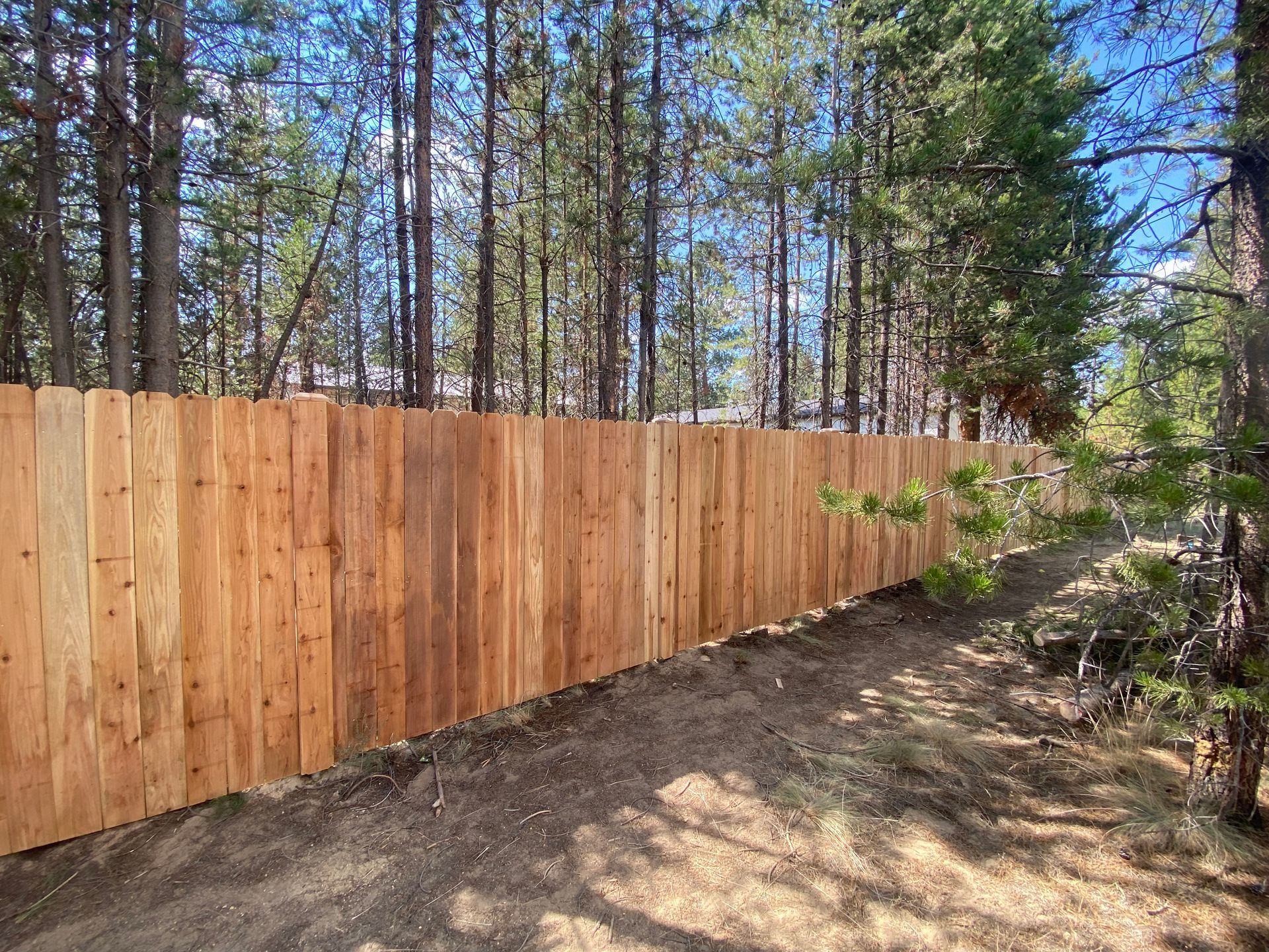 A wooden fence surrounds a dirt path in the middle of a forest.