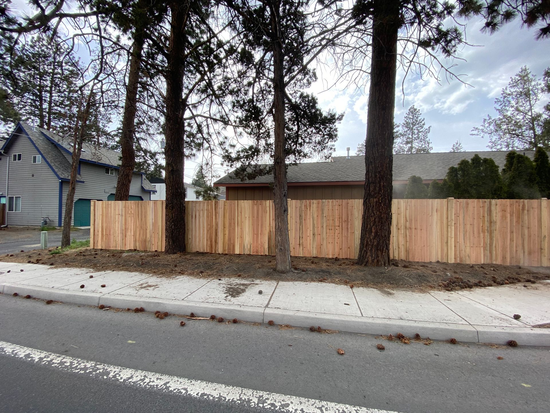 A wooden fence is surrounded by trees on the side of the road