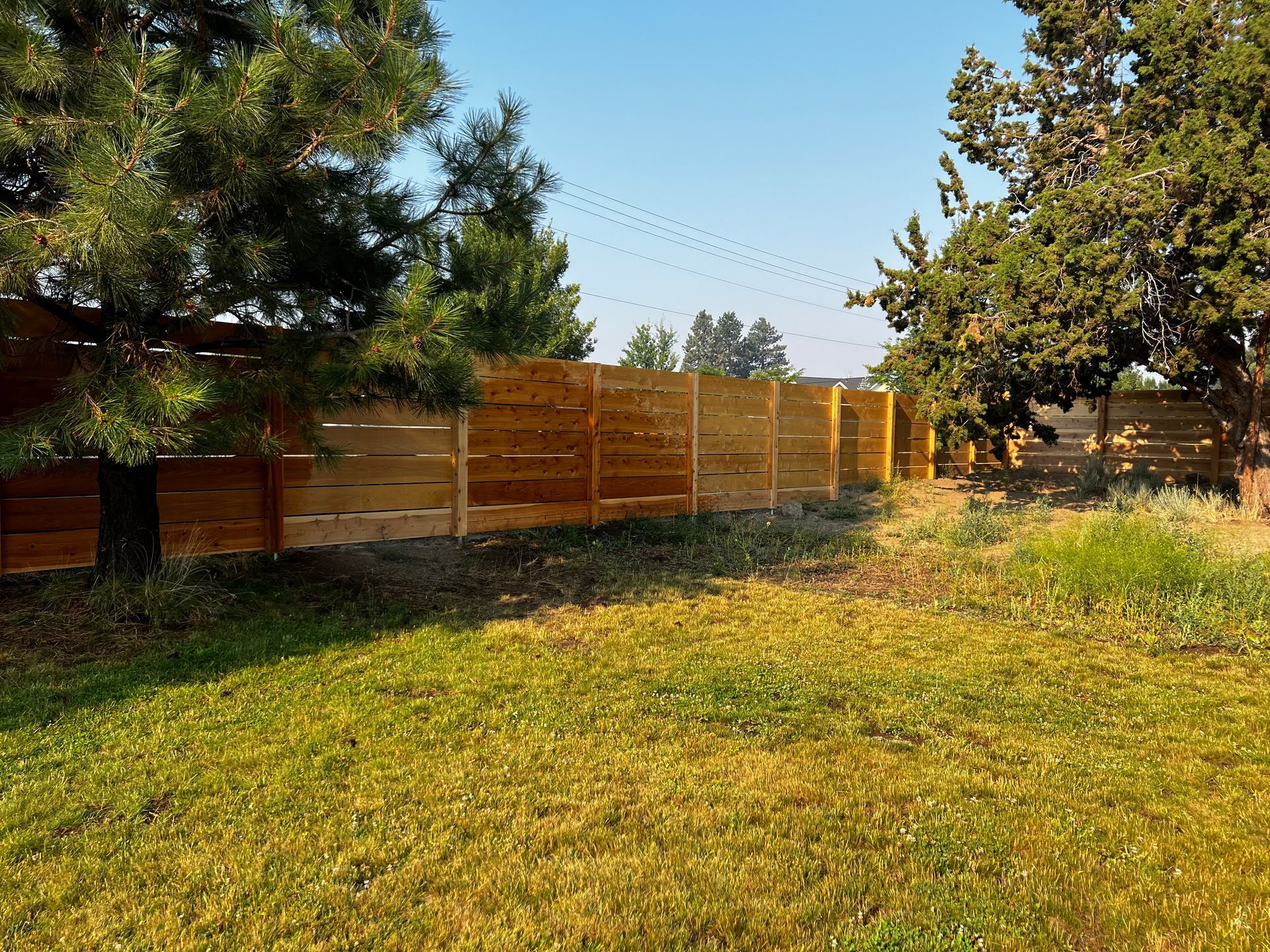 A wooden fence surrounds a grassy yard with trees in the background.