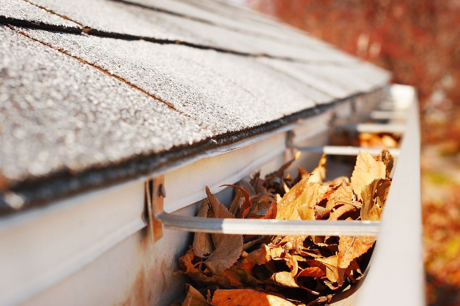 A gutter filled with leaves and a roof in the background.