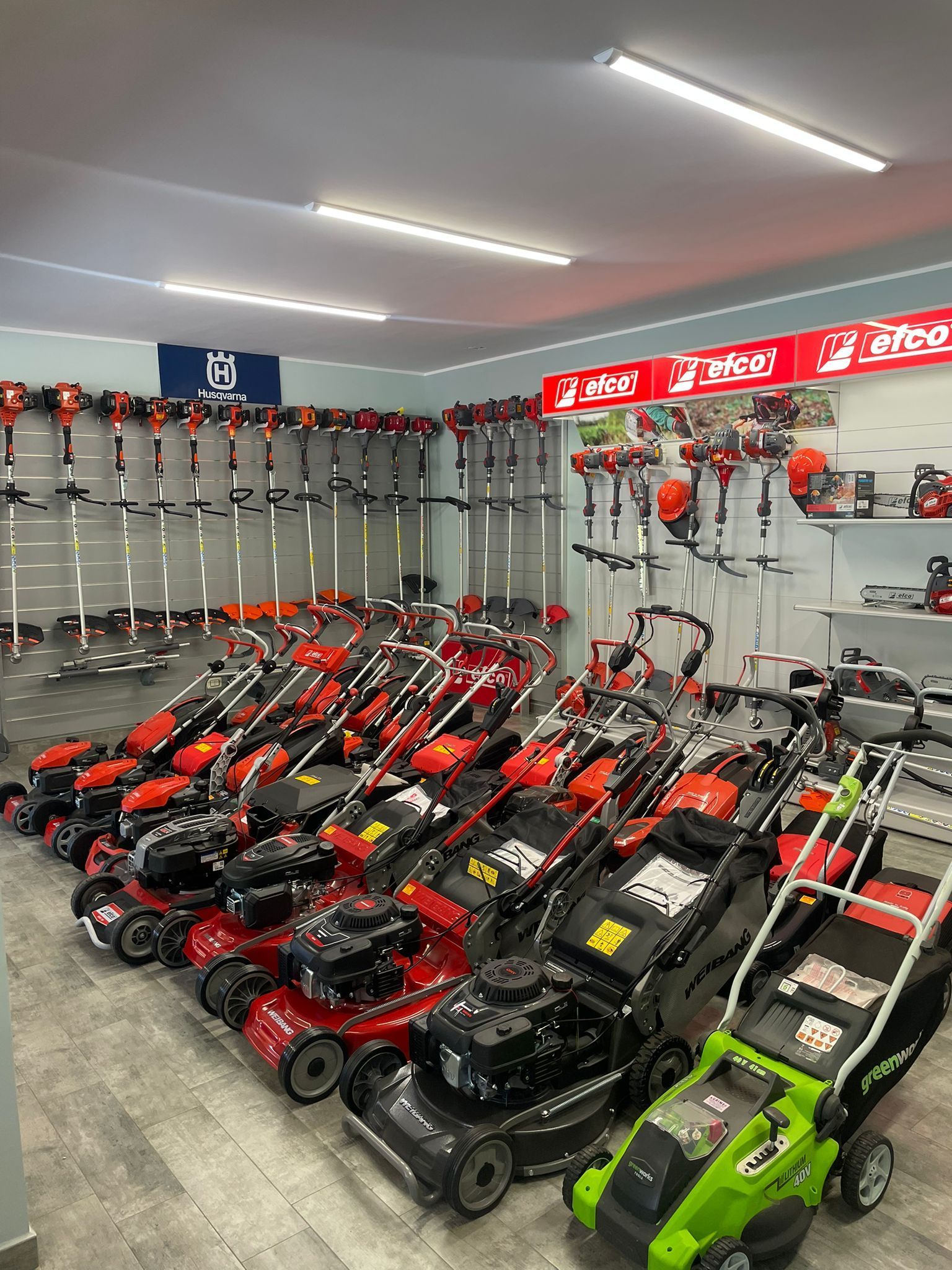 In una sala espositiva di un negozio sono esposti una fila di tosaerba rossi e neri, con un tosaerba verde in primo piano.