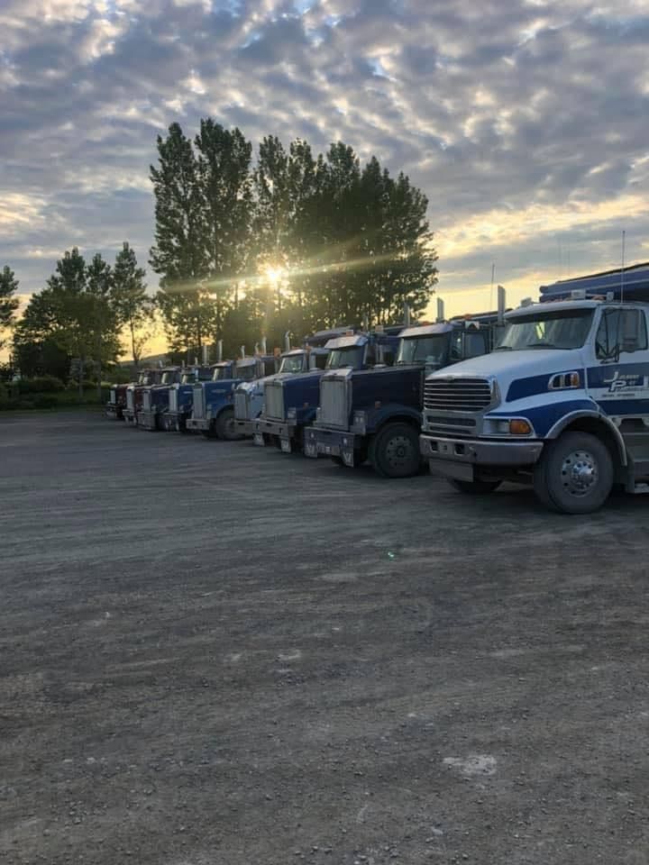 Une rangée de semi-remorques bleus et blancs garés sur un terrain en terre au lever du soleil.