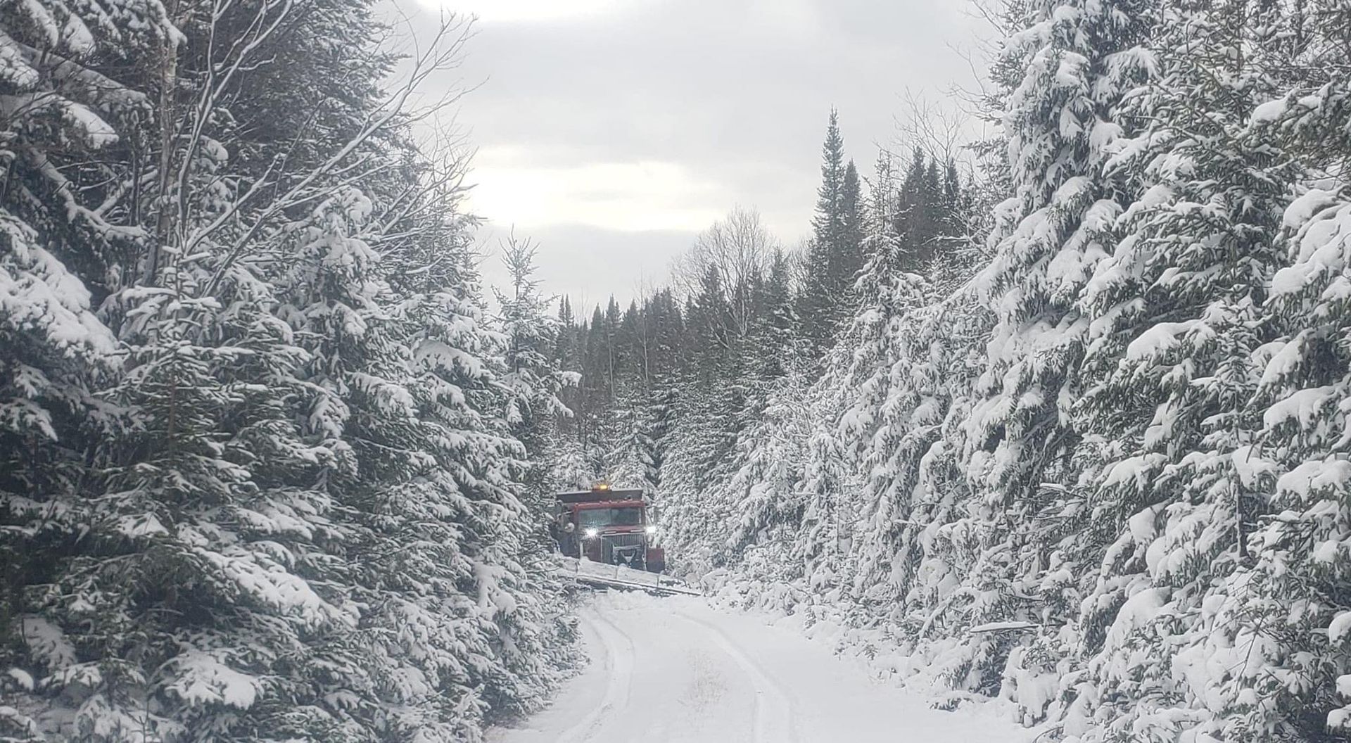 Route enneigée à travers une forêt, un camion s'éloigne de la caméra. Les arbres sont couverts de neige.