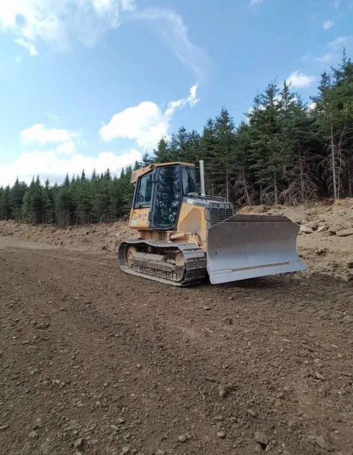 Bulldozer sur un terrain dégagé, arbres en arrière-plan, ciel lumineux.