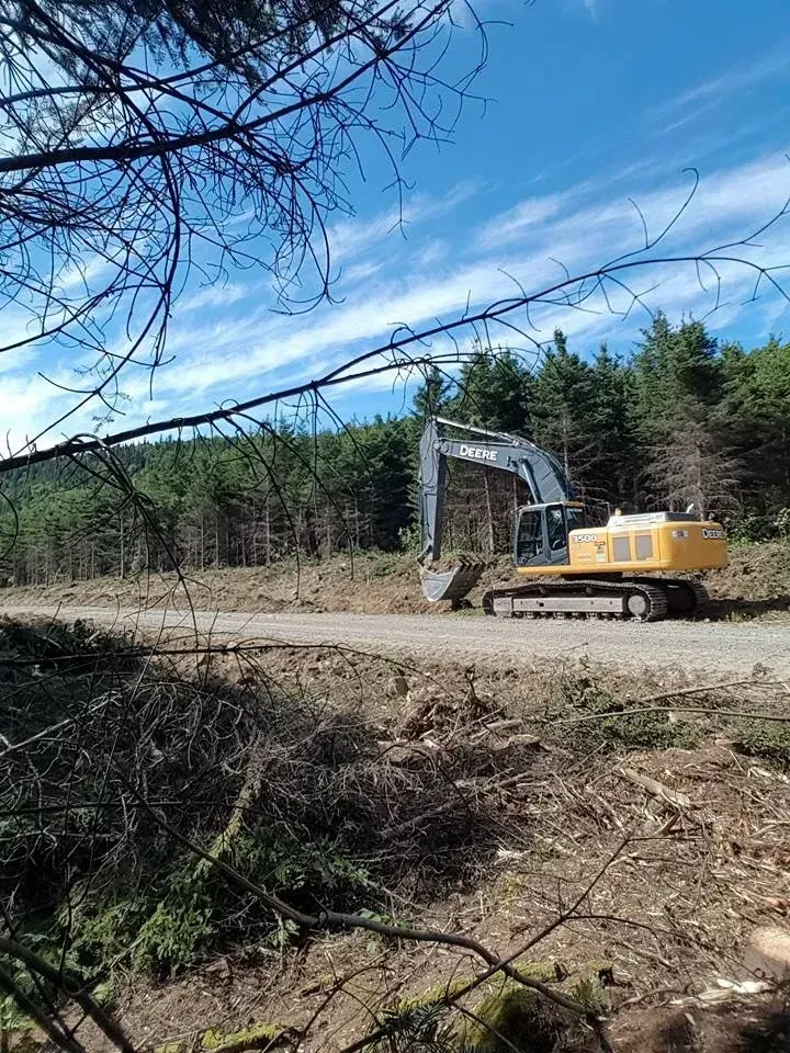 Excavatrice sur un chemin de terre en forêt, défrichant un terrain. Ciel bleu avec nuages au-dessus.
