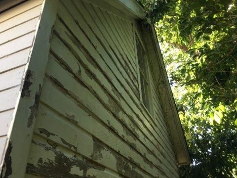 Close-up of a house’s green wooden siding with peeling paint and tree branches nearby