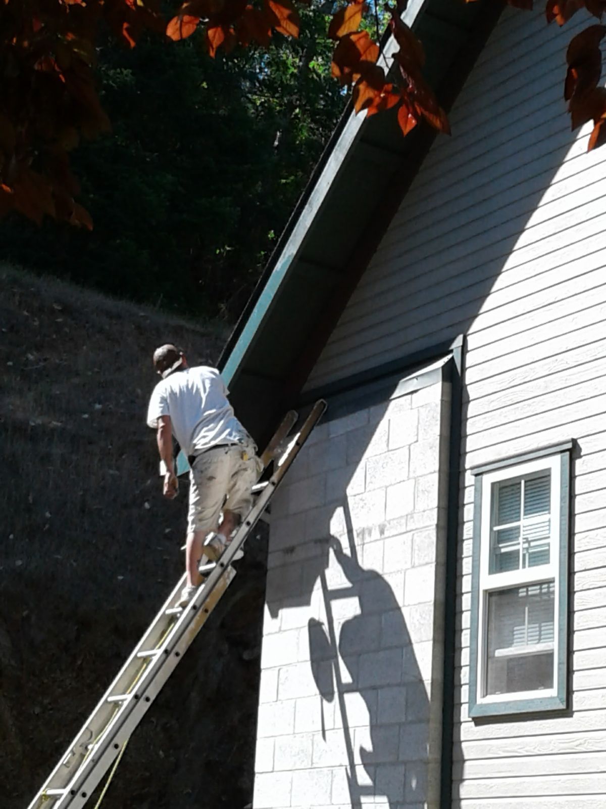 Person on a ladder painting the side of a white house with dark trim.