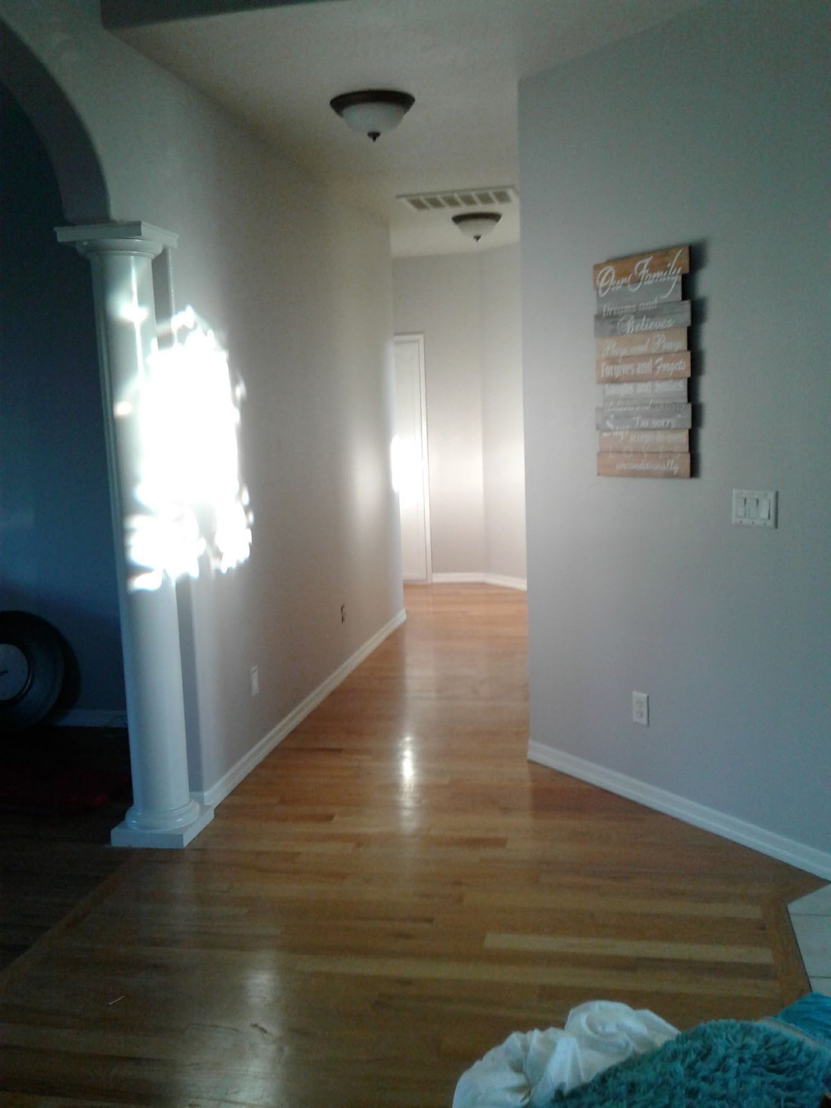 Bright hallway with hardwood floors, white walls, ceiling lights, and a sunlit doorway at the end.