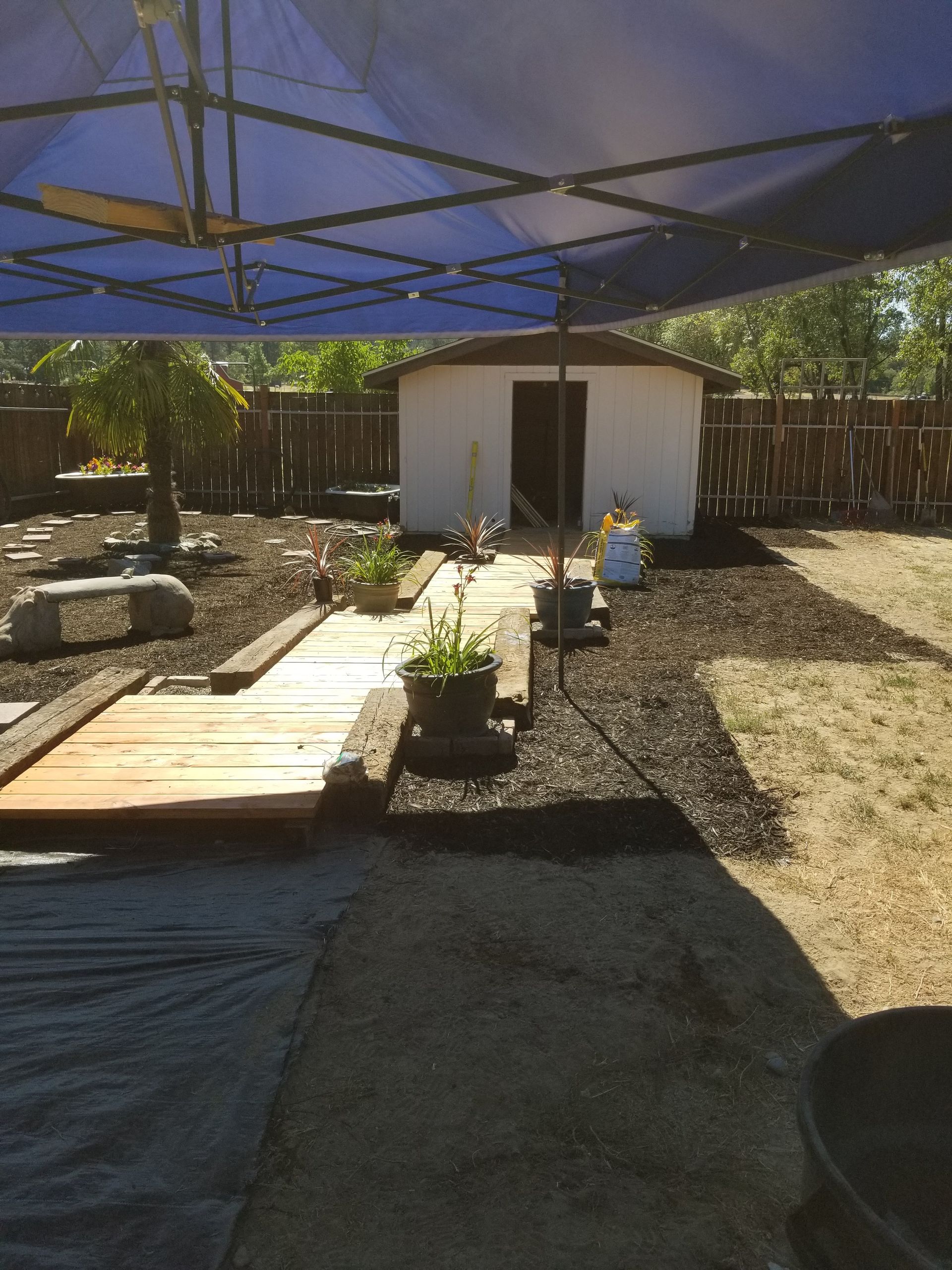 Shaded backyard patio with a small white shed, stepping stones, benches, and potted plants in sunlight.