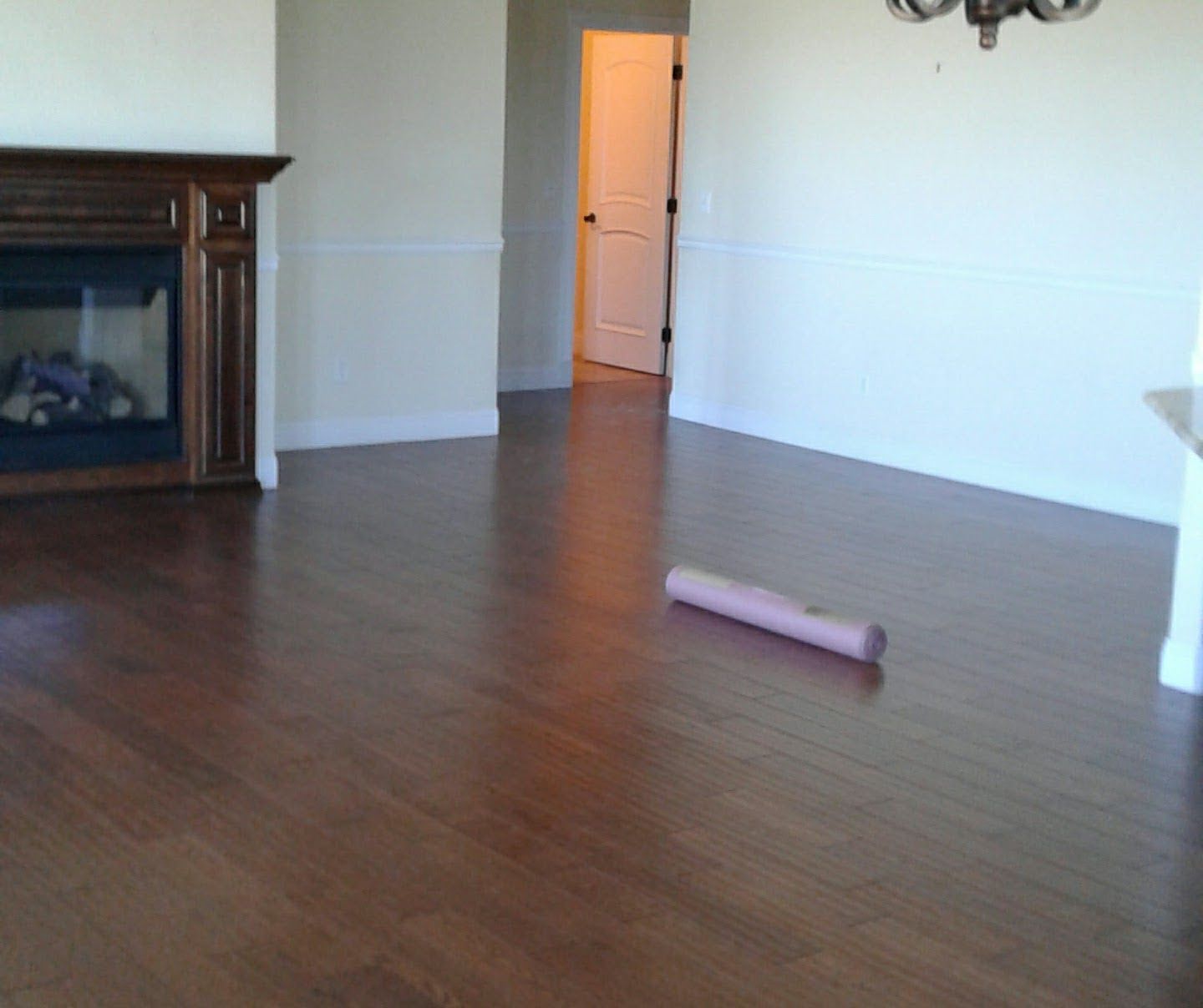 Empty living room with hardwood floors, white walls, a doorway, and a pink cylindrical object on the floor.