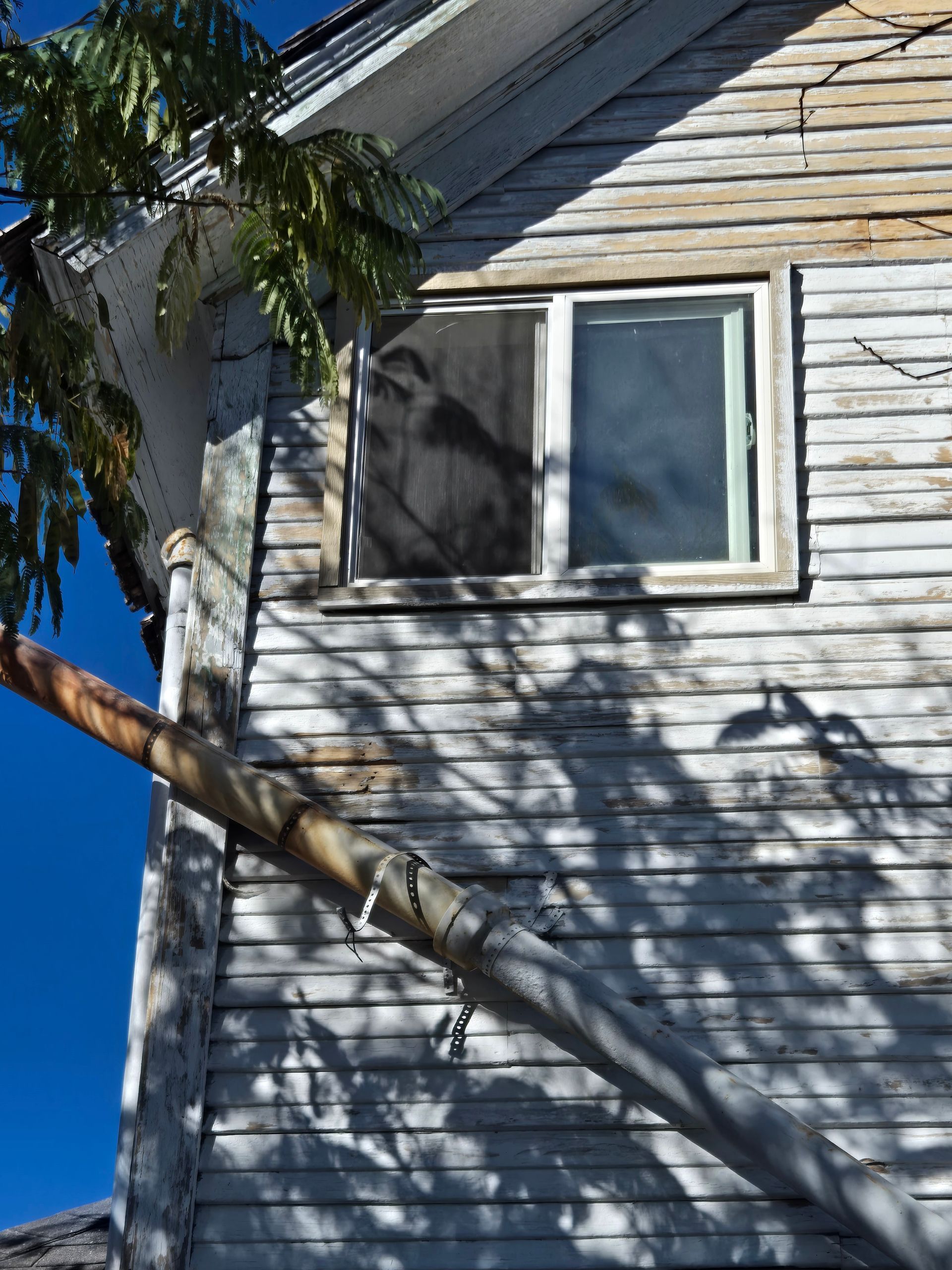Weathered white house siding with a window, palm tree shadows, and blue sky in the background