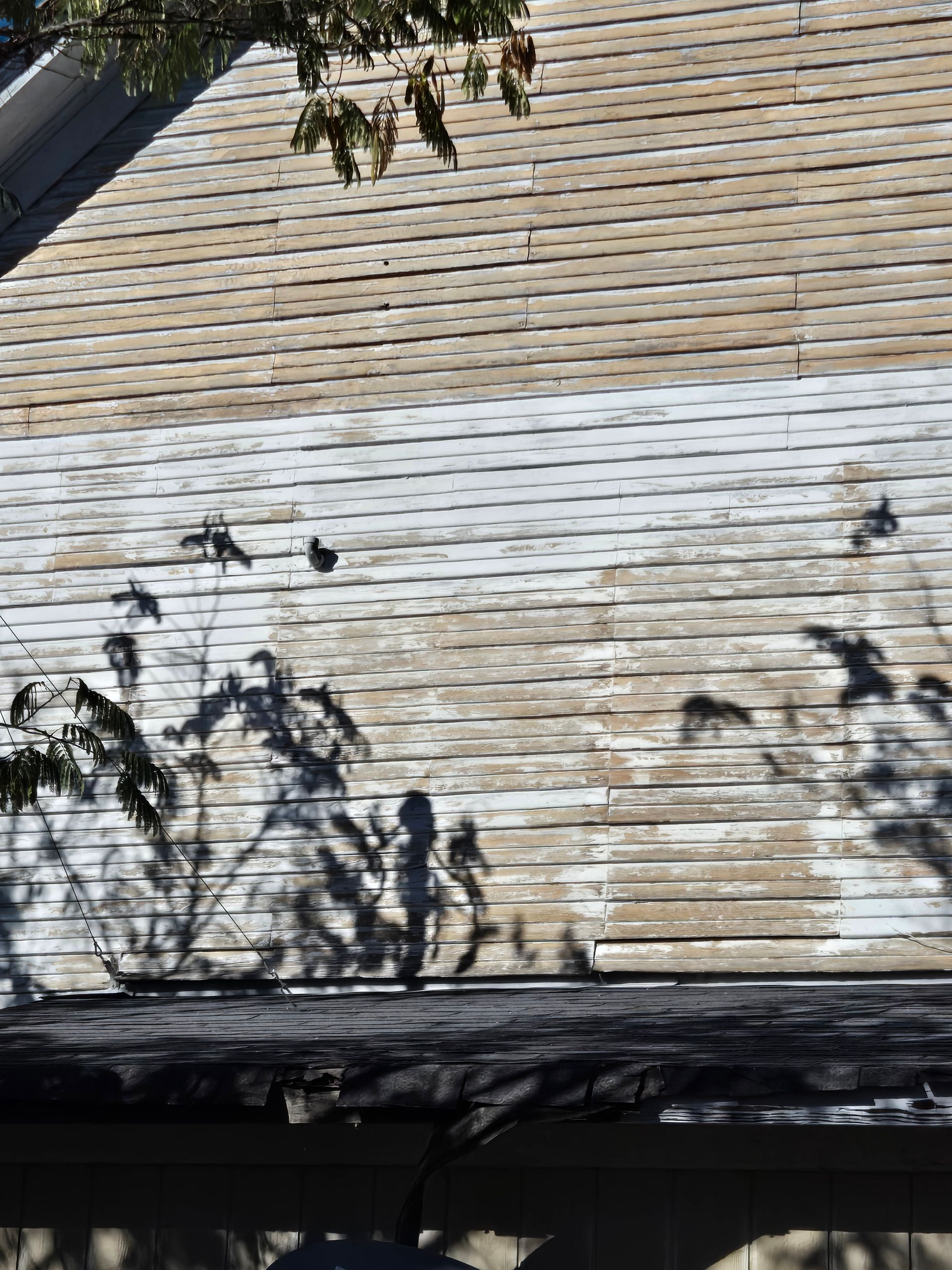 White house siding with tree branch shadows across the wall and roofline.