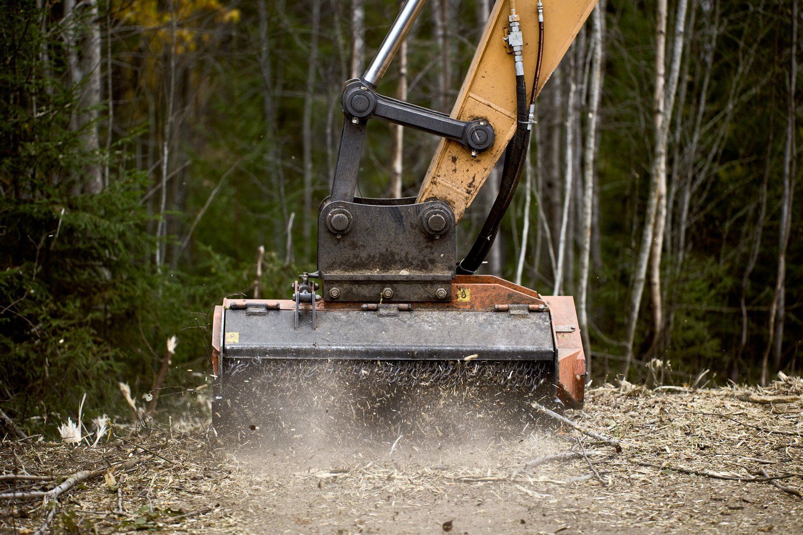 An excavator mulching brush in a forest, sending wood chips into the air.