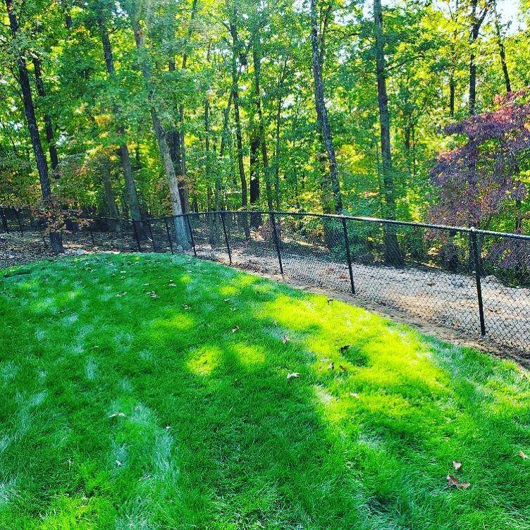 chain link fencing missouri