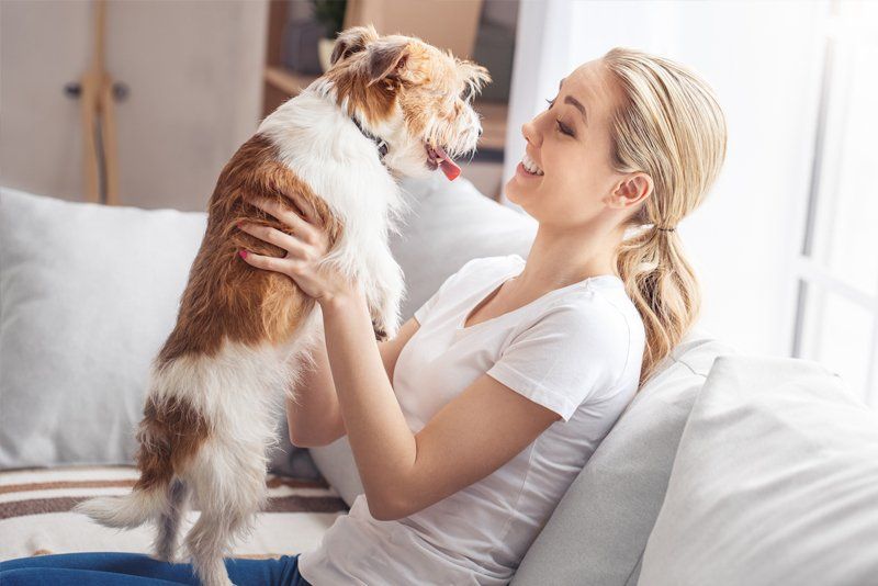 Woman with Dog on Her Hands — Overland Park, KS — Grand Paws Pet Sitting Service Inc