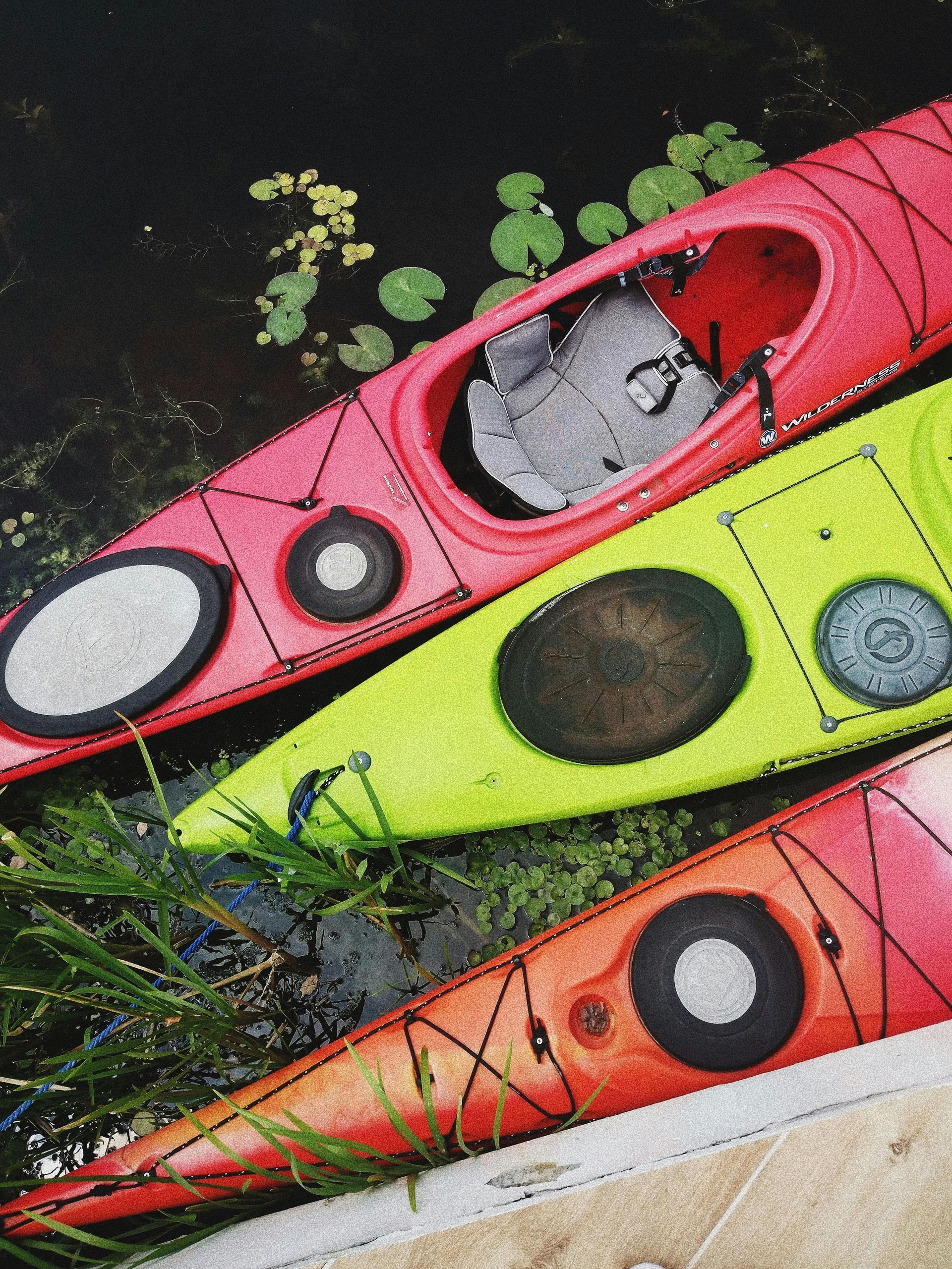 Three colorful kayaks (pink, yellow, and orange) rest on the water's edge, near green plants.